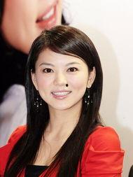 李湘个人资料图片大全,揭秘明星生活点滴